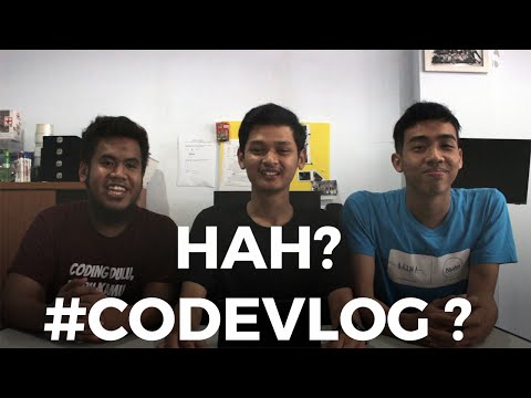 #CODEVLOG ?!?!?