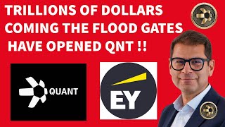 Quant Network and EY A Flood Of Institutional Money Coming! QNT GET READY!!