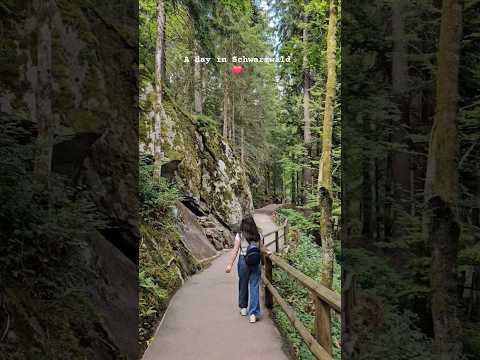 A day in Schwarzwald ❤️ #randomday #lifeineurope #travel #trending #naturelovers