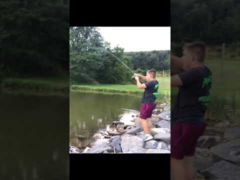 Fishing with strawberry jello, oat, corn, pack bait! Big Takedown.🎣🔥 #shorts #fishing #carpfishing