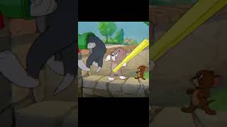 # viral video # video #proedit # cat👑 #king