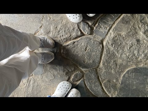 Ep 3| India to Myanmar in One Step: Exploring the Border Village of Lungwa | #travel #Mon #border