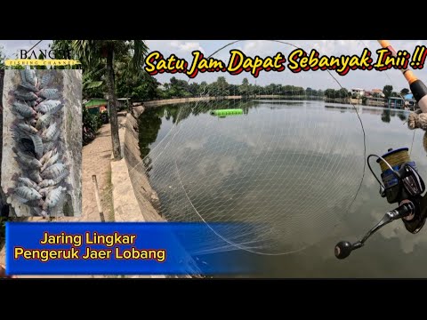 Modal jaring dan kawat dapat ikan sebanyak ini, pancing jaring lingkar atau jaring hula hula