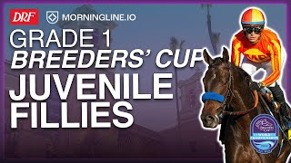 Grade 1 Breeders' Cup Juvenile Fillies | October 31, 2025