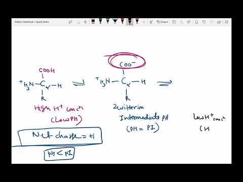 Trick to learn amino acids | IIT JAM | GATE | CSIR NET | DU | BHU.