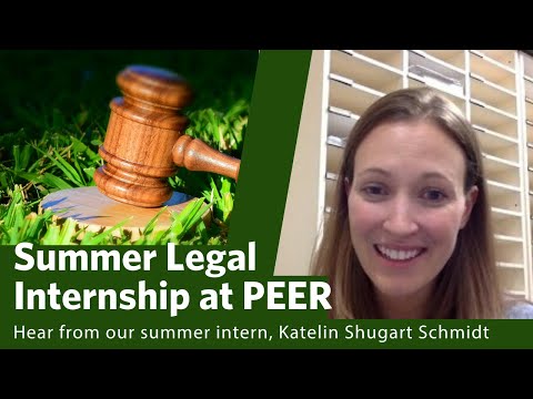 Summer Legal Internship at PEER:  Hear from Katelin Shugart Schmidt About Her Experience