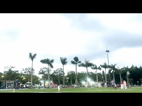 Cool Afternoon in the Park – A Peaceful Moment Where I Live
