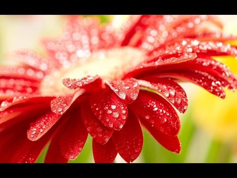 Special Devi Strotra by Uday Pundhir