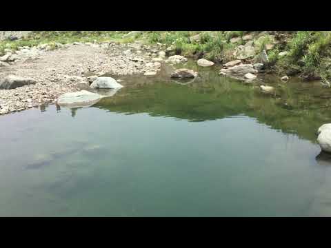 Manzary baba beautiful stream Malakand #manzarybaba #beautyofmalakand