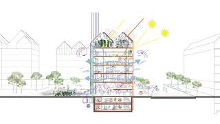 Mass Timber Design - Guallart Architects - Xiong’an New City Awards