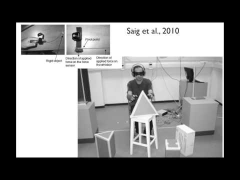 Dr. Ophelia Deroy's Reflections on Hacking - Hack the Senses S01E01 - Launch