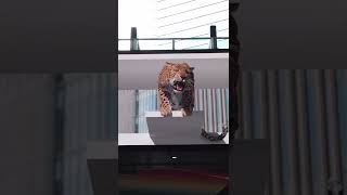 JR大阪駅でヒョウが飛び出す3D映像放映