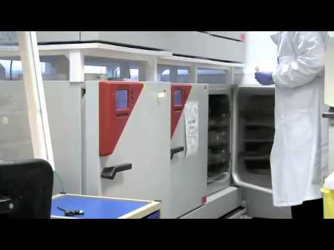 Barts Cancer Institute (BCI) Research & Recruitment