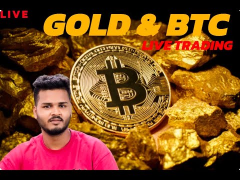 quotex trading expart