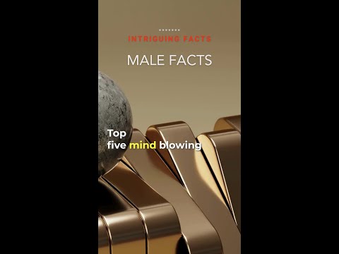 Insights into the Male Mind: Male Fact