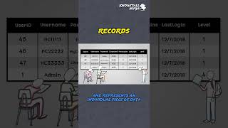 Decoding Programming Records: