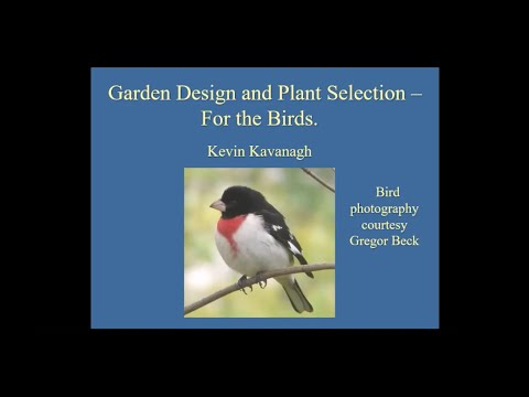 Plant Selection That's for the Birds Webinar Recording