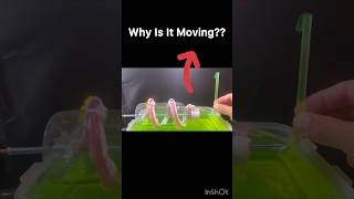 Why Is It Moving??