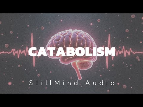 Multi Biome Acoustic Protocol: 15 Minute Alpha Entrainment for Neural Stabilization