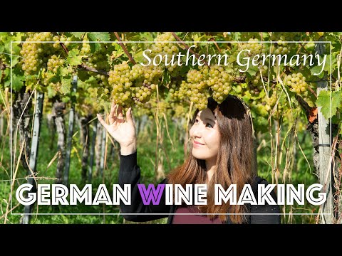 Wine from Germany - Making the best German Wine