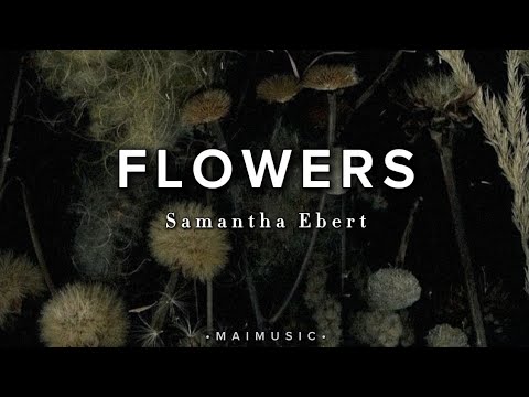 FLOWERS - Samantha Ebert // lyrics