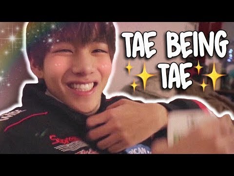 tae being tae for 10 minutes straight