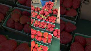 Farmers market