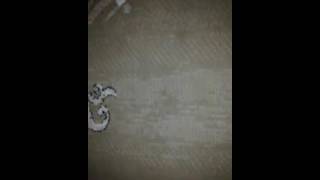How to make stative for phone