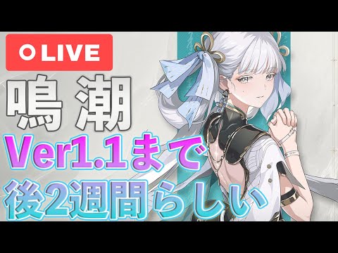【鳴潮】今日はマジでちょっとだけ音骸しばきます