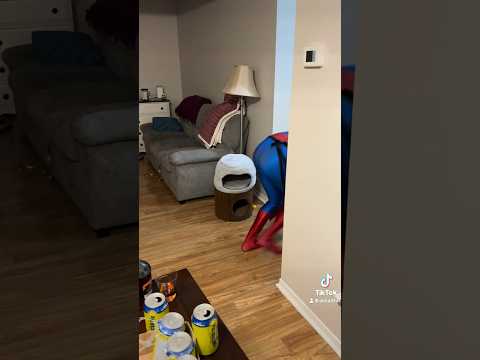 Spider turns into spiderman #spiderman #halloween spider