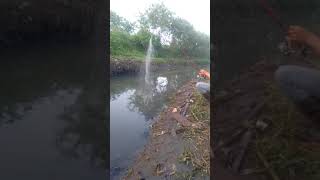 cara lempar jaring bomnet biar gacor