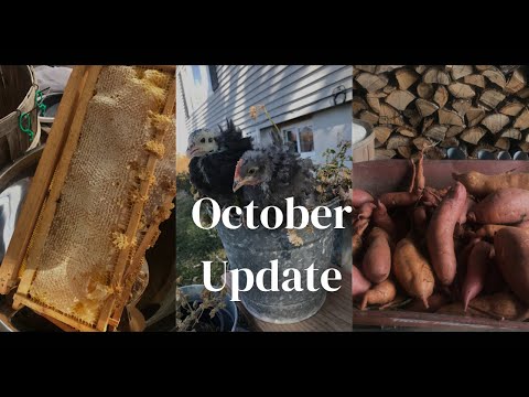:October Farm Update: