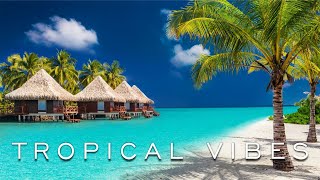 Tropical Island Vacation Music & Vibes | Happy Instrumental Background Tunes