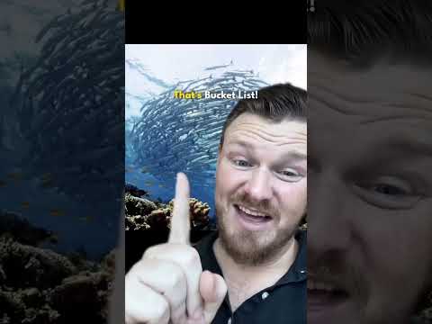 Here's Why Mabul + Sipadan Should be BUCKET LIST! 📝🐙 - Big Ocean Dive