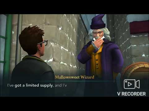 Hogwarts Anniversary p2