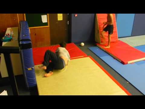 Tiny Mashup of Training