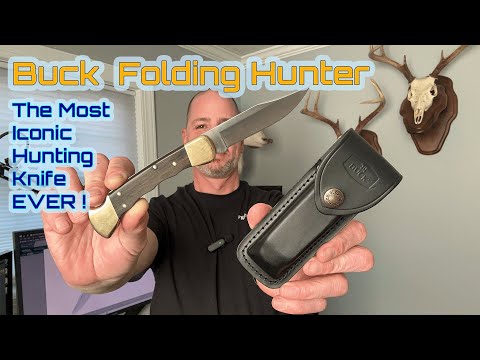 Buck 110 Folding Hunter