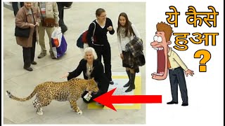 Ye Kaise Hua ?? | Google Life Size Animal | Google AR Animal In Hindi