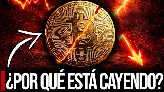 Urgent: Why Bitcoin is FALLING (and will get worse)
