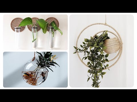 | Hanging Plants Indoor | Hanging Plants Flowers | Hanging Plant Pot | Hanging Plant Shelf |