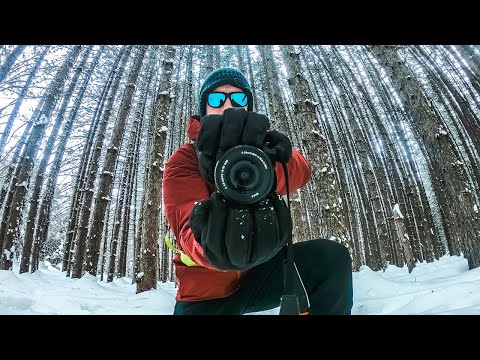 I SWITCHED to the SONY A6000