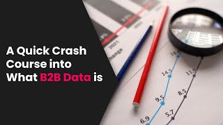 A Quick Crash Course Into What B2B Data Is