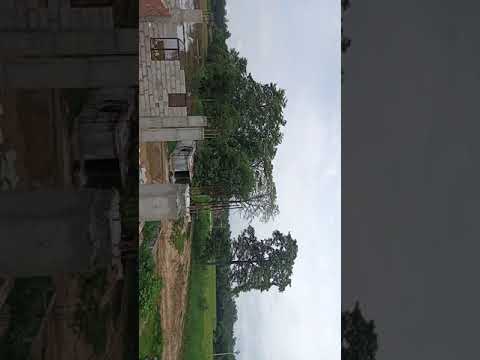 Window wooden shuttering with soile