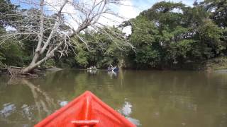 Dominican Republic Boat Rowing - DR Eco Adventures