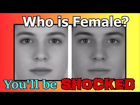BEST OPTICAL ILLUSIONS TO TEST YOUR BRAIN !!
