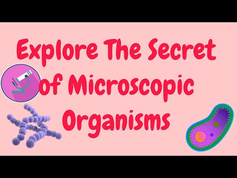 The Secret of Microscopic Organisms