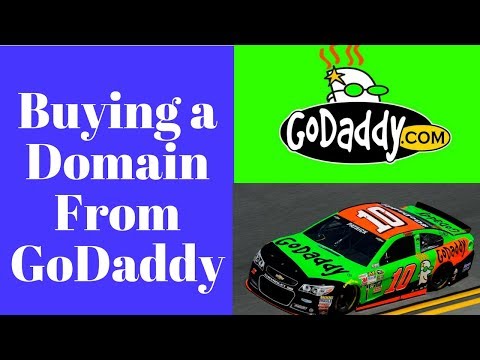 Buying a Domain Name from Go Daddy