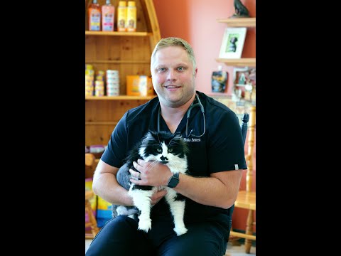 Traditional & Holistic Pet Care in One Place | Pequot Lakes Animal Hospital