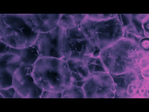 tanboymiguel x cult shφtta x LOVV66 - ​everytime we fvck (drum & bass remix)