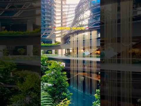 #singapore #singaporevlog #Singaporedowntown #downtown #rafflesplace